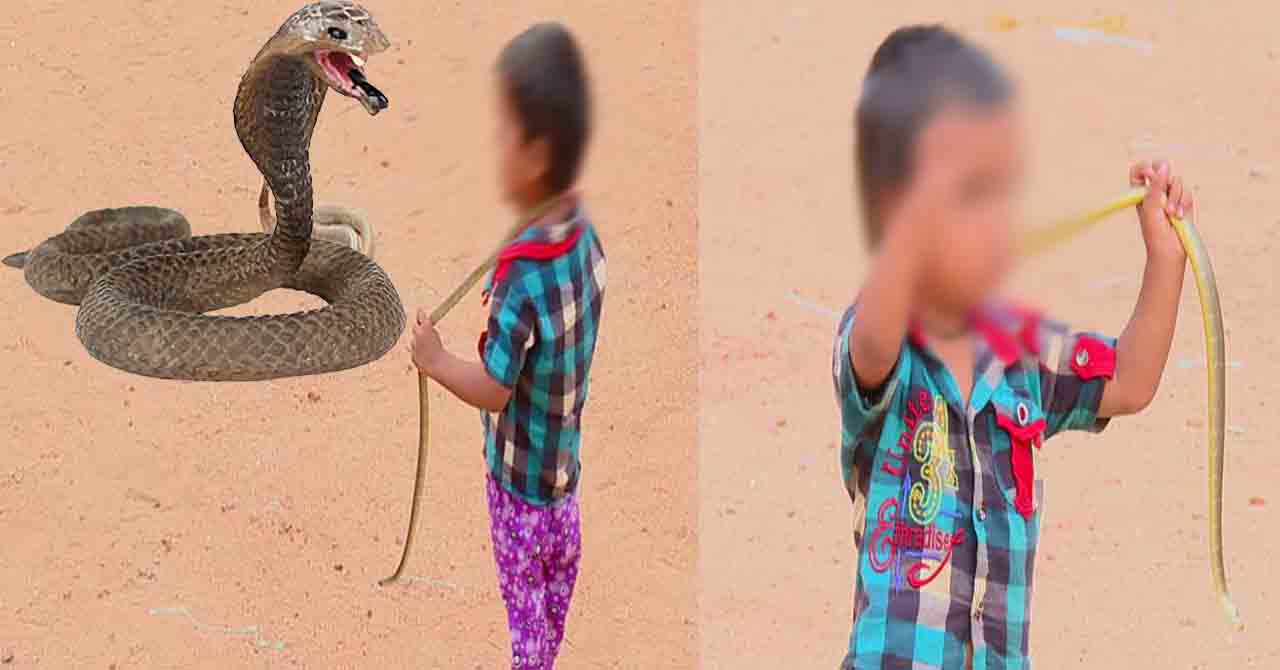 You know what this little boy is doing with snakes ..