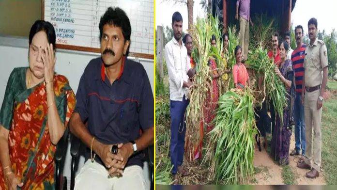 Lilavati and Vinod Rajkumar, who are not part of the film industry, know how much income they earn from farming in lakhs