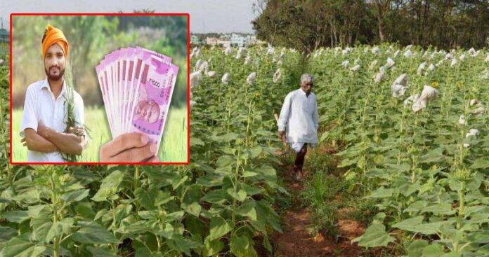 PM Kisan FPO Scheme: Empowering Farmers for Economic Growth and Income Doubling